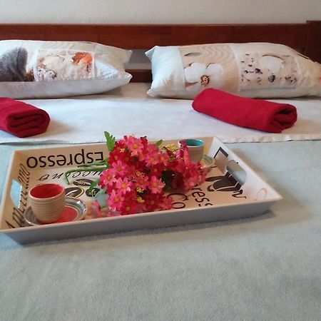 Apartment Vladka 이졸라 외부 사진